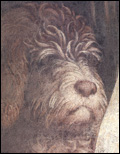 lagotto_mantegna.jpg