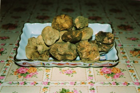 Truffles!