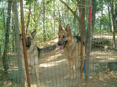Thomas e Cora