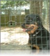 Heidi in posa per la stampa